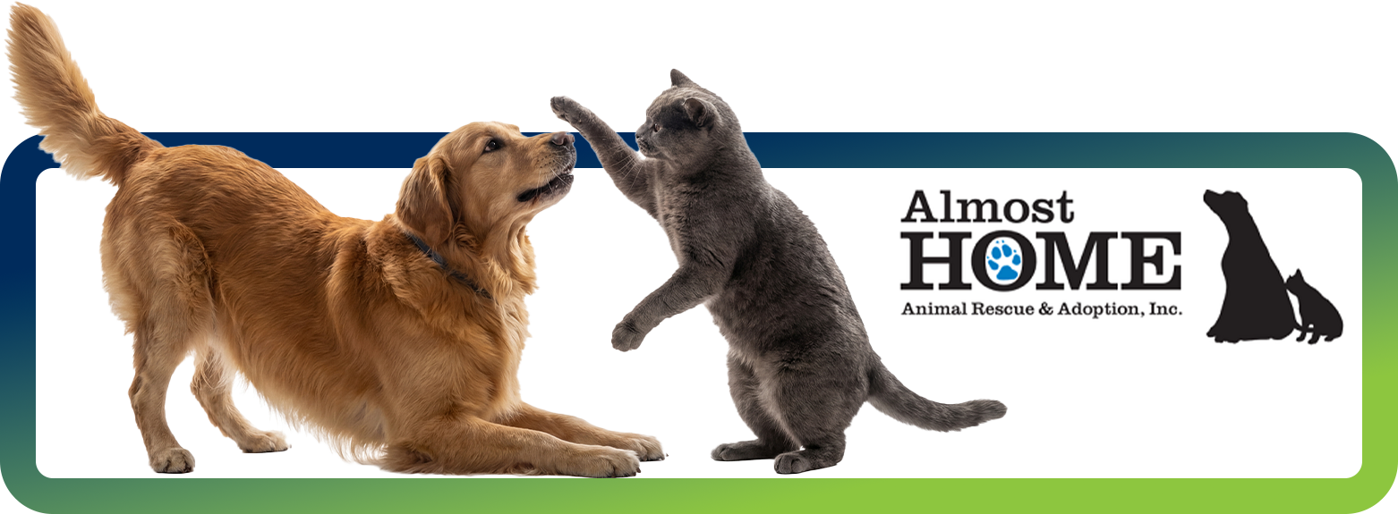 Almost Home Almost Home