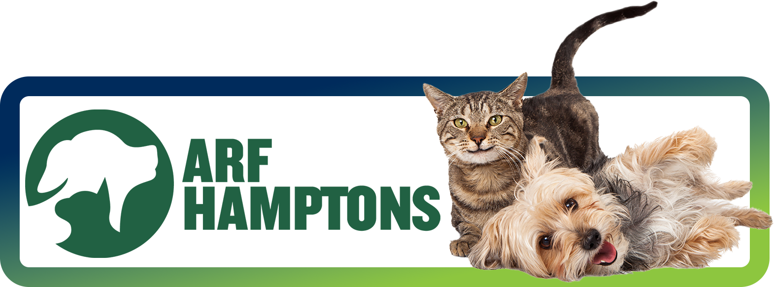 Arf Hamptons Arf Hamptons