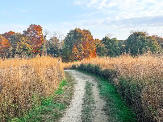 Avalon-Park-Preserve