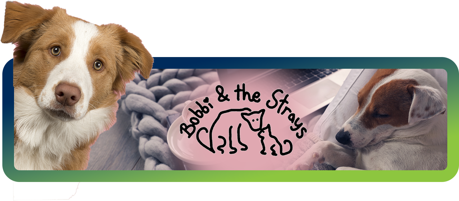 Bobbi n the strays Bobbi n the strays