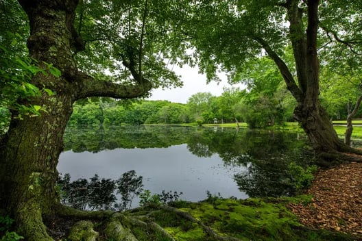 Caleb Smith State Park Preserve 2.jpg