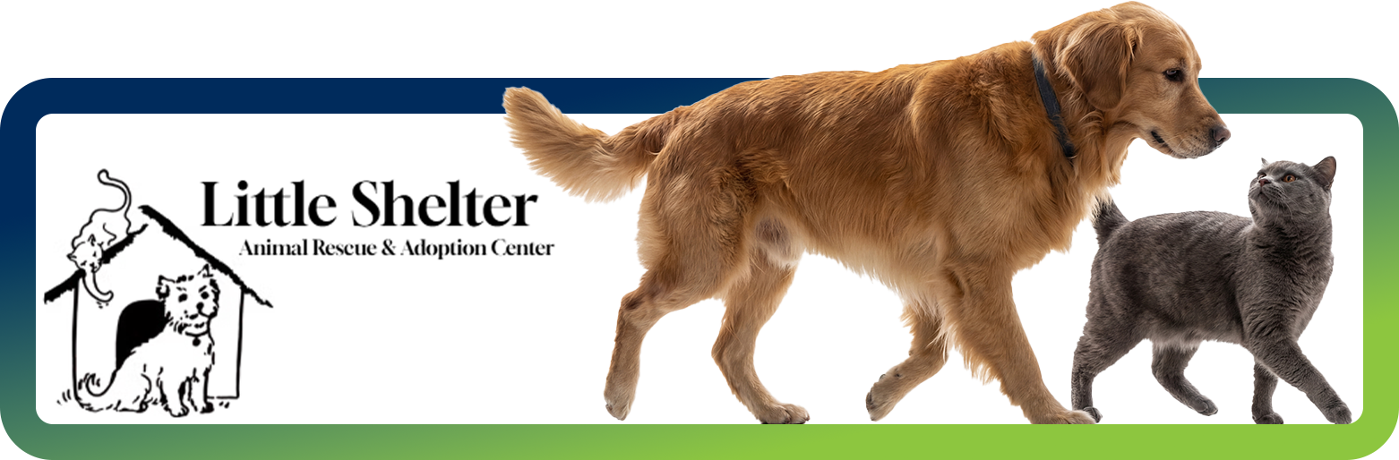 Little Shelter Little Shelter