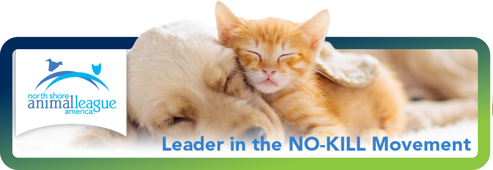 North shore animal league North shore animal league