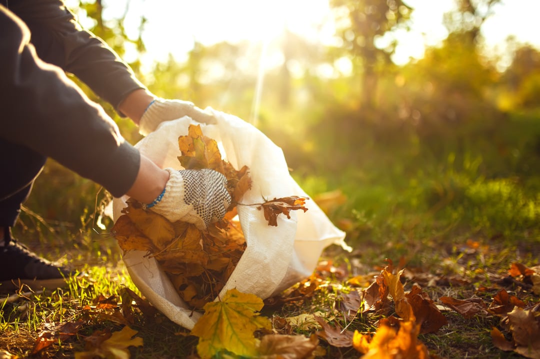 young-boy-cleans-fallen-leaves-concept-of-purity-2023-11-27-05-07-48-utc-WEB