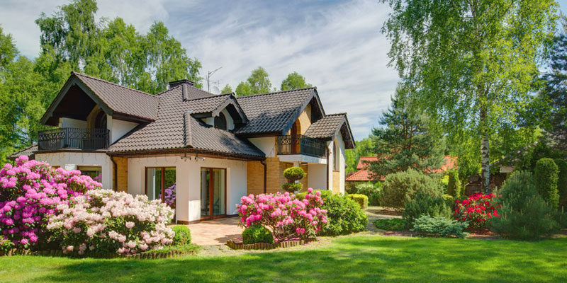 House with great landscaping