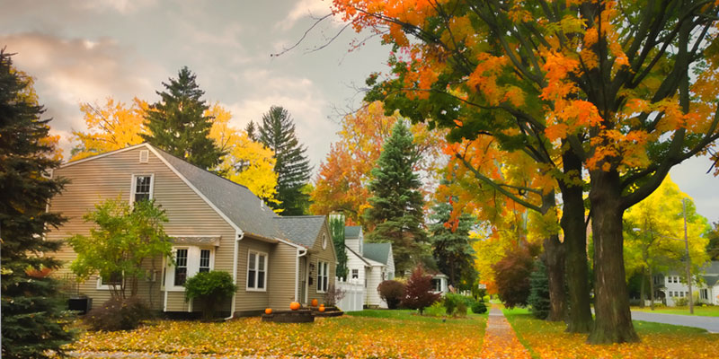 House in beautiful fall landscape with colorful leaves on trees and ground